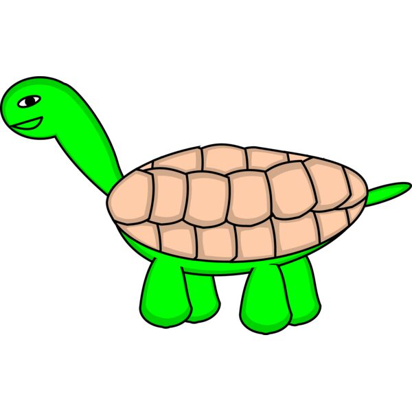 tortoise stage6 Thumbnail