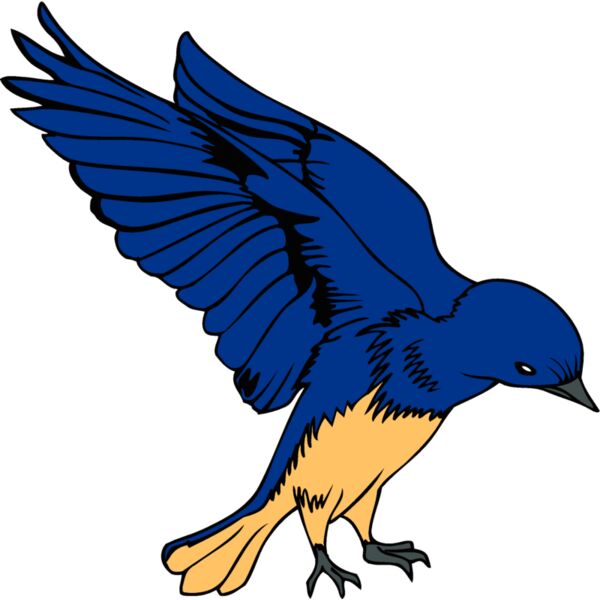 idahobluebird1 Thumbnail