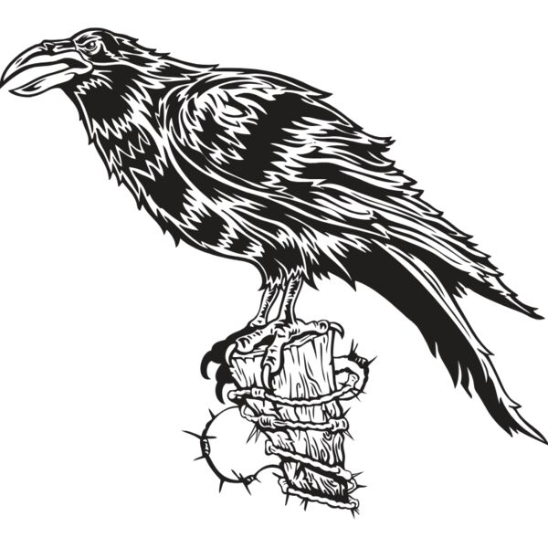 ES2raven001BW Thumbnail