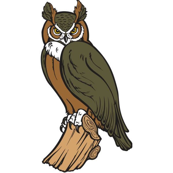 ES2owl002clr Thumbnail