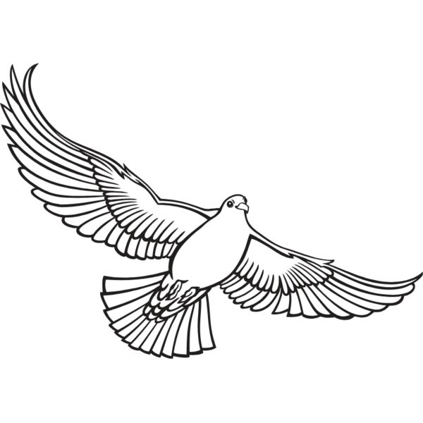 ES3dove01bw Thumbnail