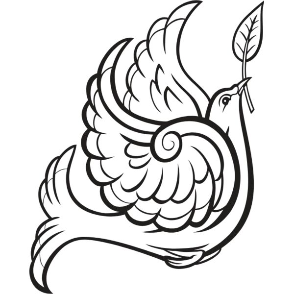 ES3dove02BW Thumbnail