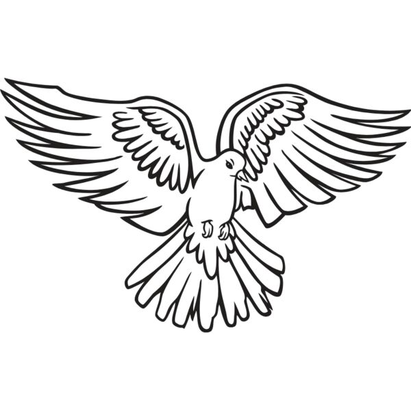 ESdove003bw Thumbnail