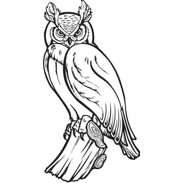 ES2owl002bw Thumbnail