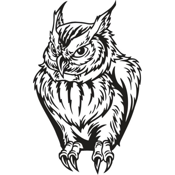 ES2owl003BW Thumbnail