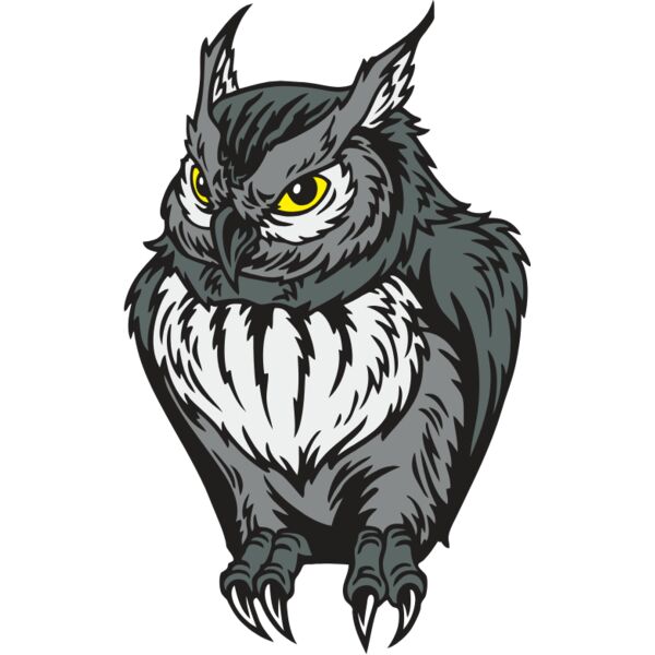 ES2owl003CLR Thumbnail