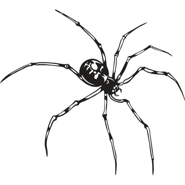 ESspider007bw Thumbnail