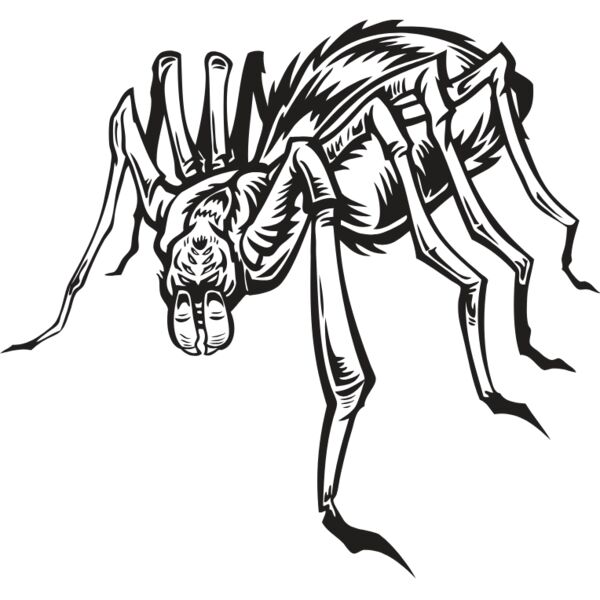 ES2spider004BW Thumbnail