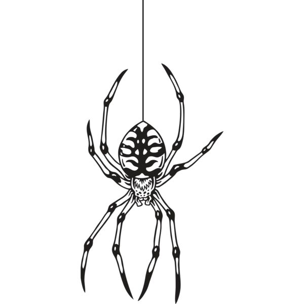 ES2spider003BW Thumbnail