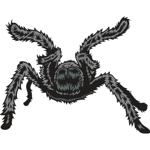 ESspider005clr Thumbnail