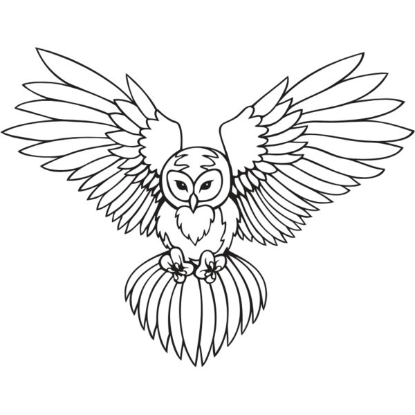 es3owl03bw Thumbnail