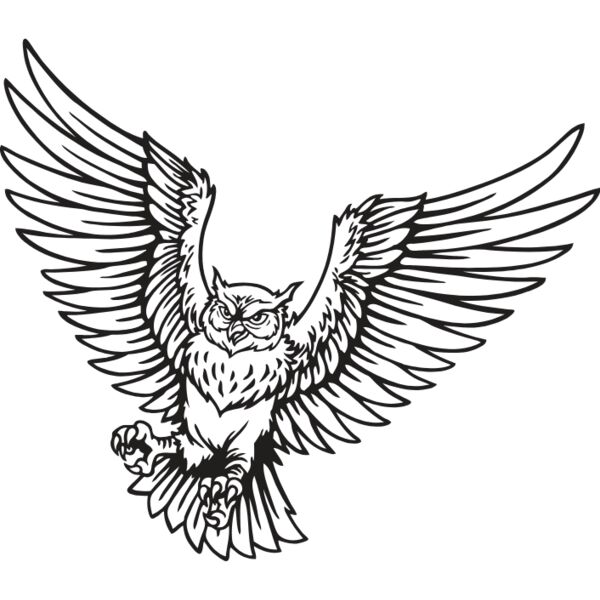 ES2owl001BW Thumbnail