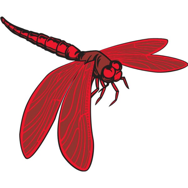 ESdragonfly001clr Thumbnail