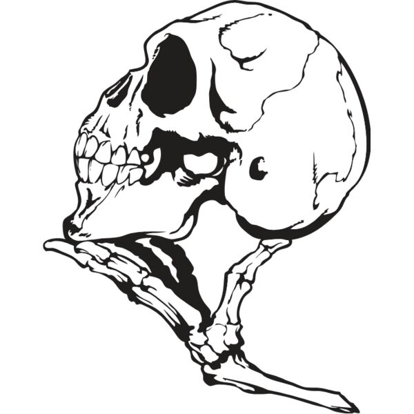 ES3bones05bw Thumbnail