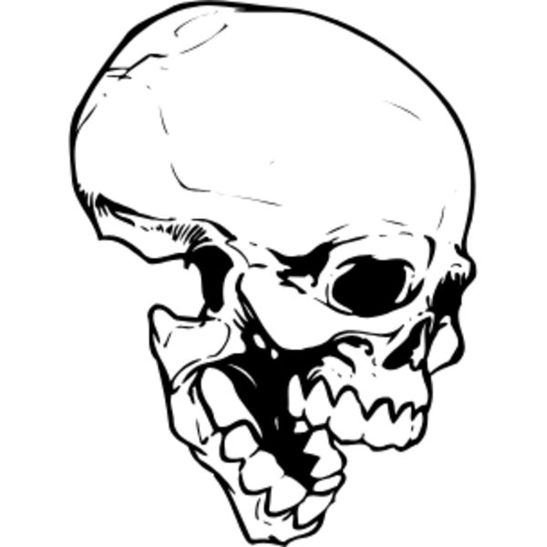 skull  3  Thumbnail