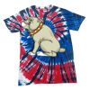 Spiral Tie Dye Tees - Adult & Youth Thumbnail