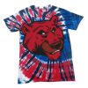 Spiral Tie Dye Tees - Adult & Youth Thumbnail