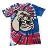 Spiral Tie Dye Tees - Adult & Youth Thumbnail