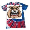 Spiral Tie Dye Tees - Adult & Youth Thumbnail