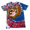Spiral Tie Dye Tees - Adult & Youth Thumbnail