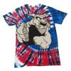 Spiral Tie Dye Tees - Adult & Youth Thumbnail
