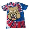 Spiral Tie Dye Tees - Adult & Youth Thumbnail