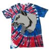 Spiral Tie Dye Tees - Adult & Youth Thumbnail