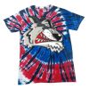 Spiral Tie Dye Tees - Adult & Youth Thumbnail