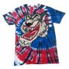 Spiral Tie Dye Tees - Adult & Youth Thumbnail