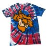 Spiral Tie Dye Tees - Adult & Youth Thumbnail