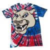 Spiral Tie Dye Tees - Adult & Youth Thumbnail