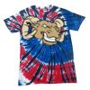 Spiral Tie Dye Tees - Adult & Youth Thumbnail