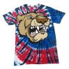 Spiral Tie Dye Tees - Adult & Youth Thumbnail