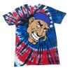 Spiral Tie Dye Tees - Adult & Youth Thumbnail
