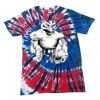 Spiral Tie Dye Tees - Adult & Youth Thumbnail