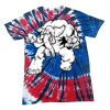 Spiral Tie Dye Tees - Adult & Youth Thumbnail