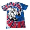 Spiral Tie Dye Tees - Adult & Youth Thumbnail