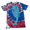 Spiral Tie Dye Tees - Adult & Youth Thumbnail