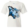 Heavy Cotton Youth Gildan T-Shirt Thumbnail