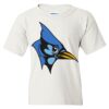 Heavy Cotton Youth Gildan T-Shirt Thumbnail