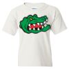 Heavy Cotton Youth Gildan T-Shirt Thumbnail