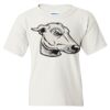 Heavy Cotton Youth Gildan T-Shirt Thumbnail