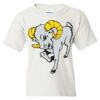 Heavy Cotton Youth Gildan T-Shirt Thumbnail