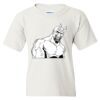 Heavy Cotton Youth Gildan T-Shirt Thumbnail