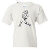 Heavy Cotton Youth Gildan T-Shirt Thumbnail
