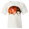 Heavy Cotton Youth Gildan T-Shirt Thumbnail
