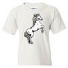 Heavy Cotton Youth Gildan T-Shirt Thumbnail