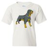 Heavy Cotton Youth Gildan T-Shirt Thumbnail