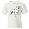 Heavy Cotton Youth Gildan T-Shirt Thumbnail