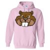 Heavy Blend Hooded Gildan Sweatshirt Thumbnail